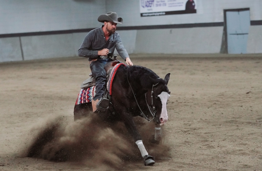 Reining Team Reining + General Performance with NRHA Professional Jim Greendyk ...